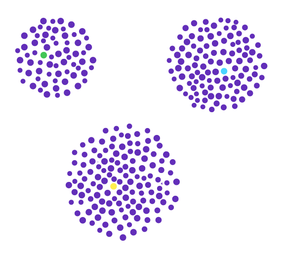 circular colonies